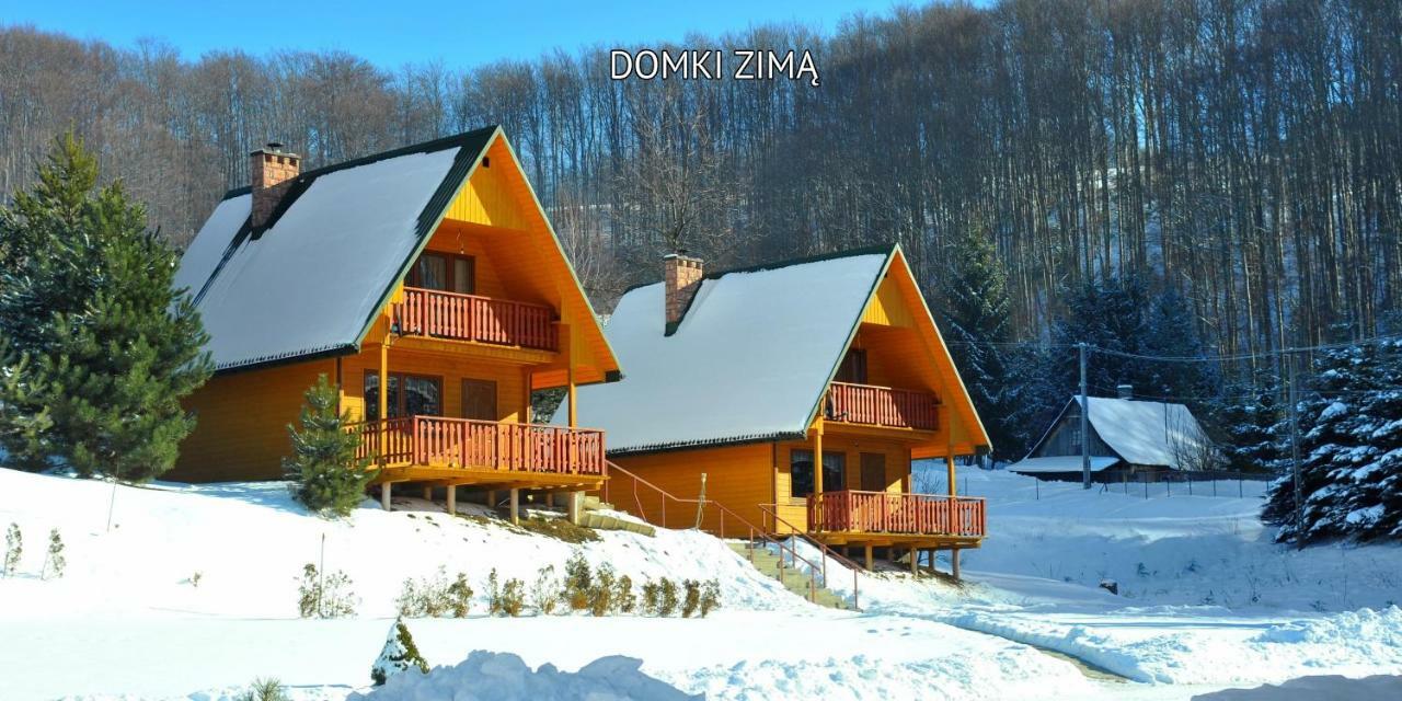Willa Bieszczady Sosnowa Aleja Baligród Zewnętrze zdjęcie